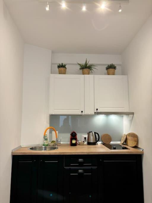 Tiny Studio Quinet بوخارست المظهر الخارجي الصورة