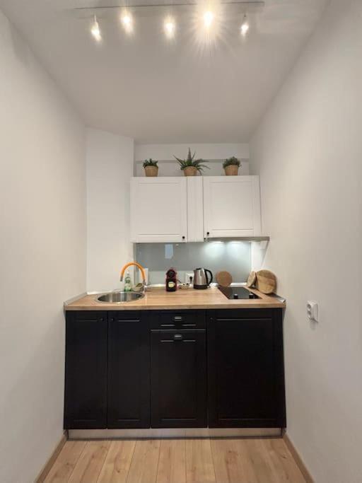 Tiny Studio Quinet بوخارست المظهر الخارجي الصورة